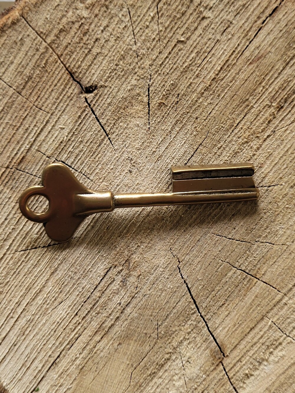 Vintage Solid Brass Decorative Skeleton Key